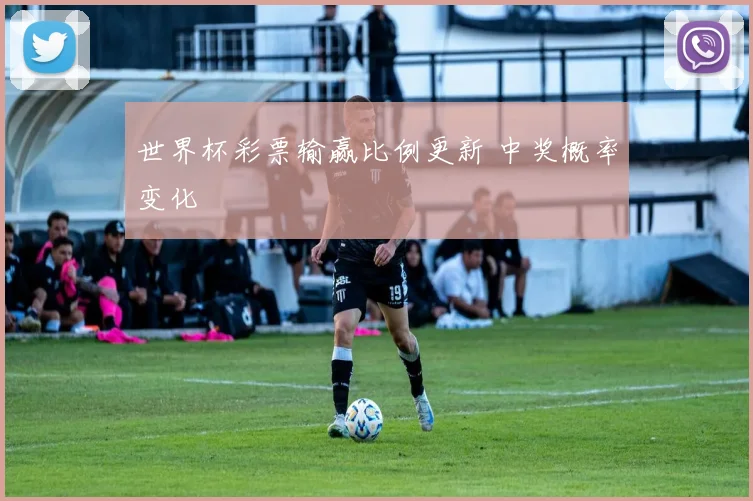 世界杯彩票输赢比例更新 中奖概率变化