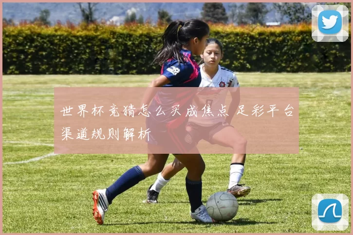 世界杯竞猜怎么买成焦点 足彩平台渠道规则解析